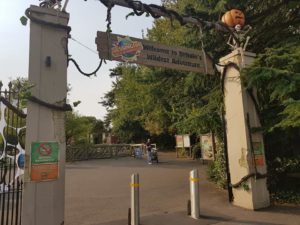 Chessington world of adventures review