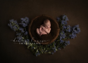 Find The Best Photographer for Your Newborn Newborn Photographer Stevenage