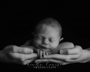 Find The Best Photographer for Your Newborn Newborn Photographer Stevenage