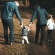 6 Types of Protection Every Family Should Consider