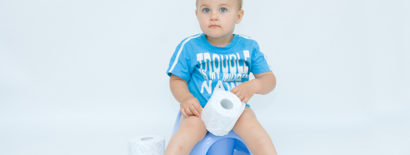 when to potty train a toddler