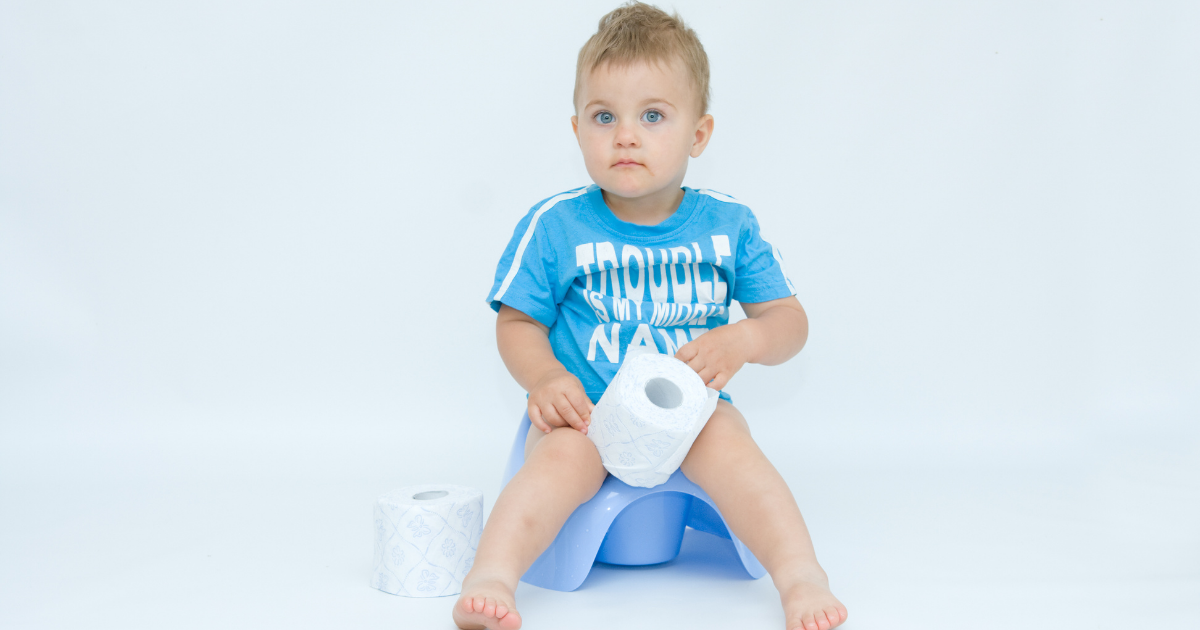 When to Potty Train a Toddler MyBump2Baby