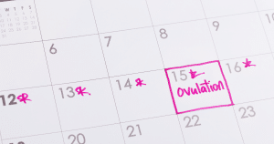what is ovulation?