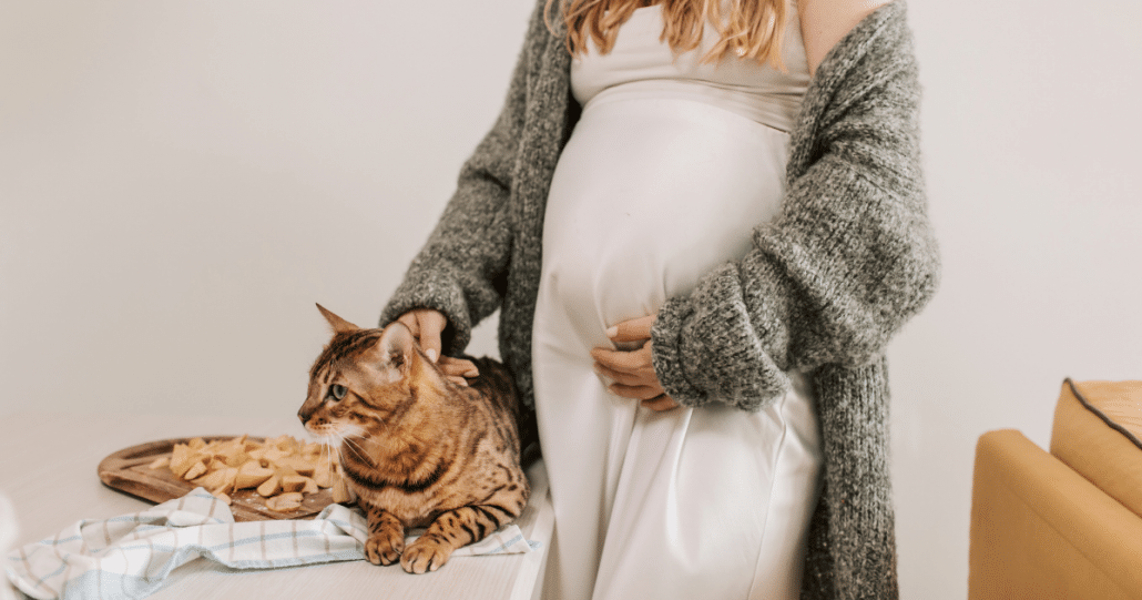 Can Cats Sense Pregnancy? - 7 Signs Your Cat Knows You're Pregnant -  MyBump2Baby