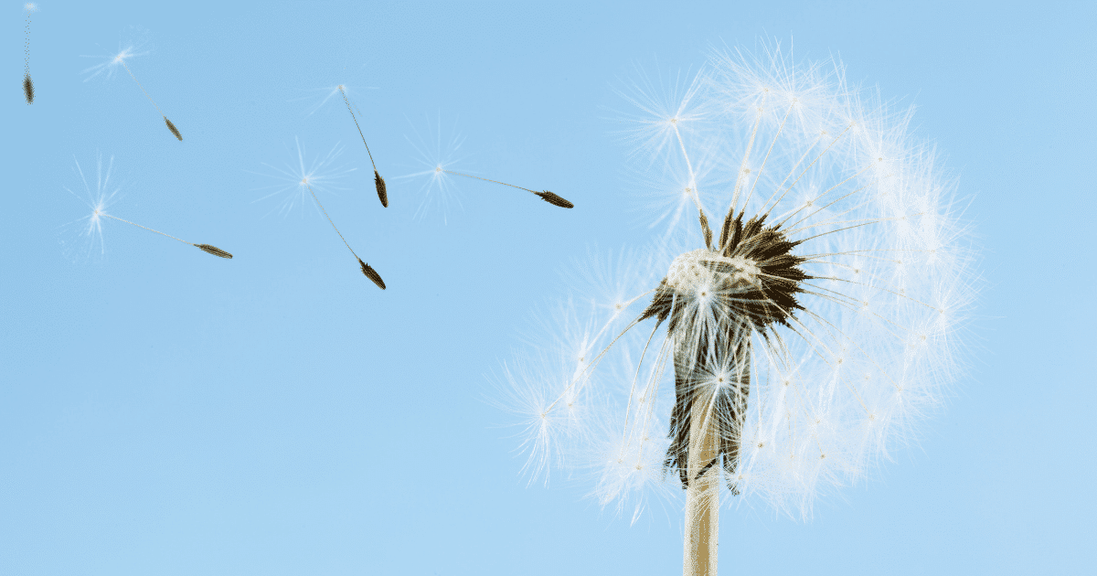 Egg White Discharge & Fertility Everything You Need to Know MyBump2Baby