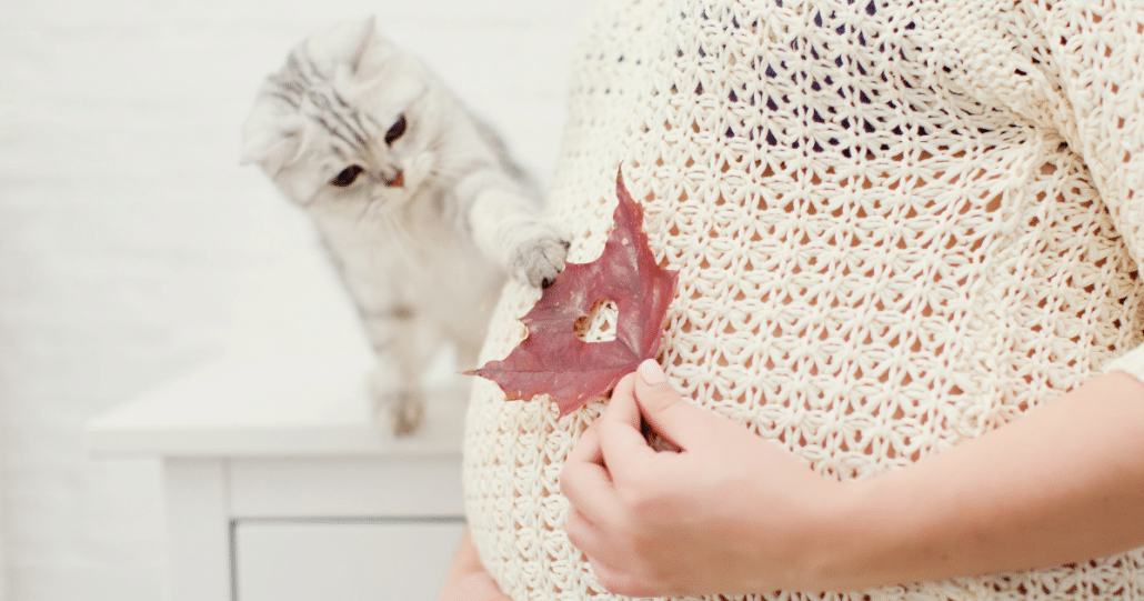 Should pregnant women avoid cats hotsell