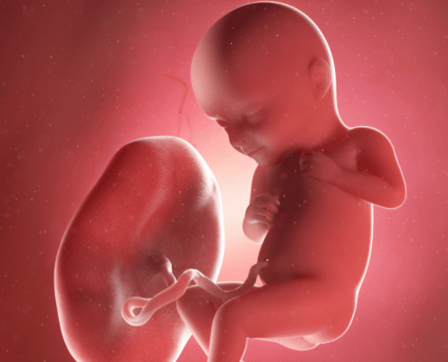 What Can You Do With Your Placenta After Your Baby is Born