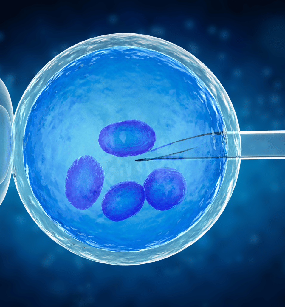 what is ivf