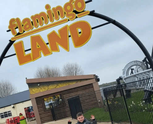 Flamingo Land Review