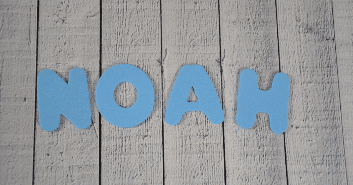 200 BEST nicknames for Noah MyBump2Baby