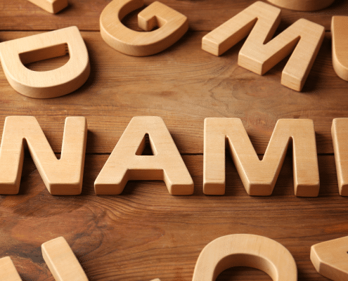 nicknames for vanessa