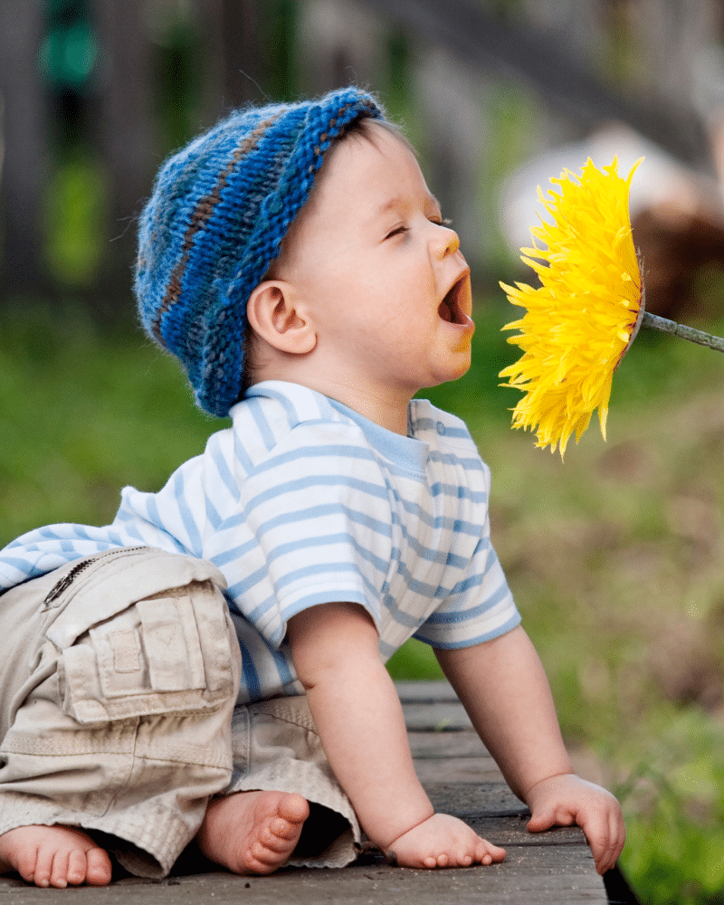 traditional one syllable boy names