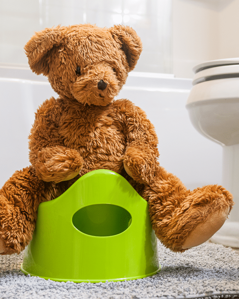 Potty training process tips