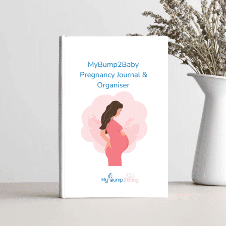 pregnancy journal