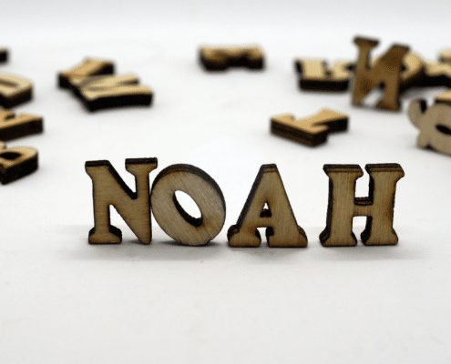 middle names for noah