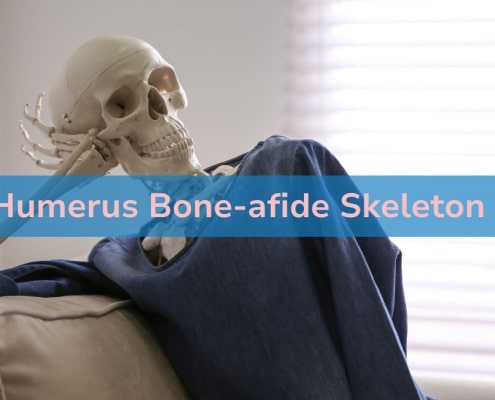 205 Humerus Bone-afide Skeleton Puns