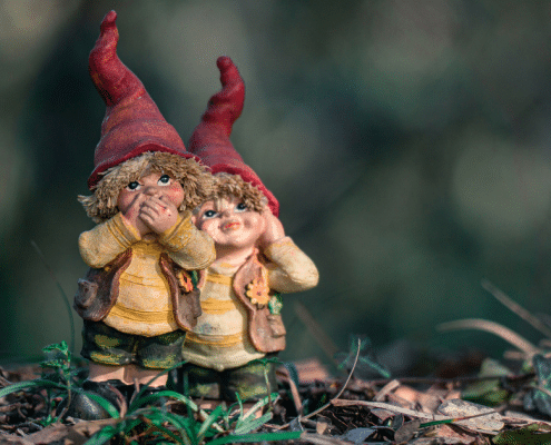 Gnome Puns